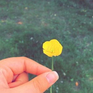 Meet your Posher, Tasha